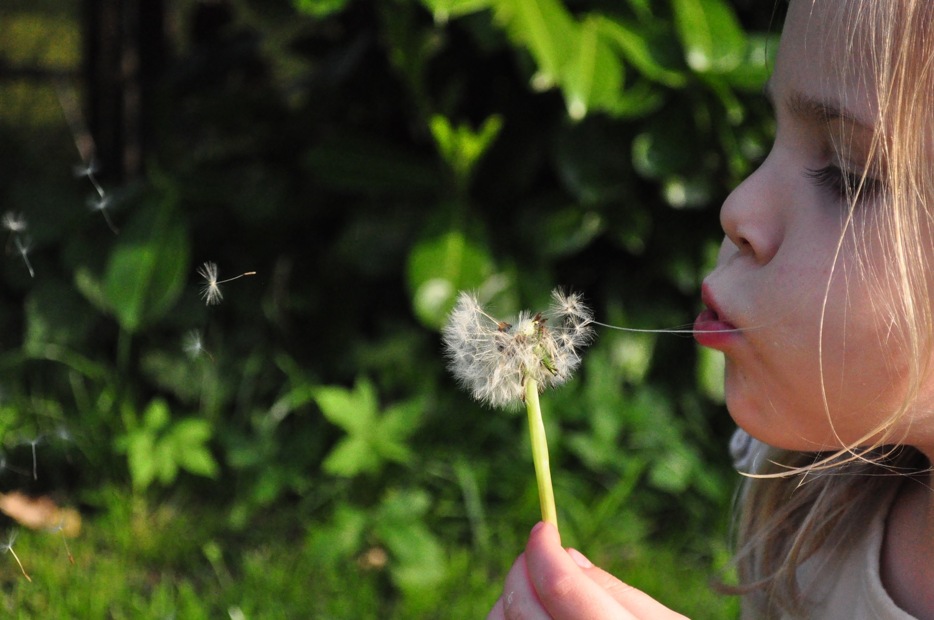 Seasonal Allergies? Take Care Of Your Smile